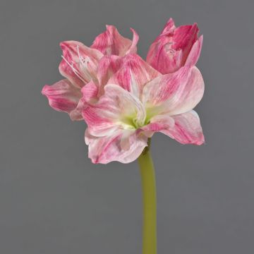 Flor artificial amarilis GRILVE, rosa, 55 cm