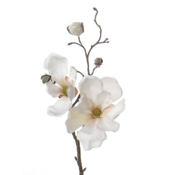 Rama de magnolia artificial MALBINE, crema, 50cm, Ø6-10cm
