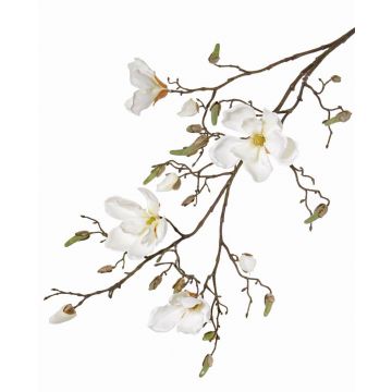 Rama de magnolia sintética LORA, crema, 110cm, Ø10-12cm