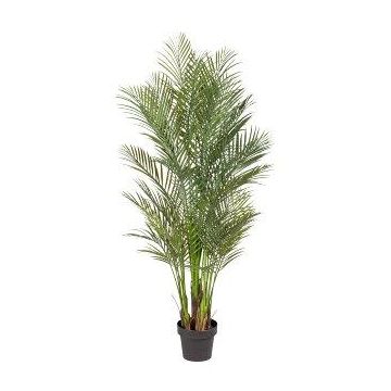 Palmera decorativa Areca URUBE en maceta decorativa, 160 cm