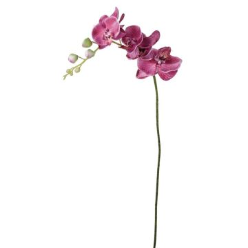 Rama de orquídea Phalaenopsis artificial AMARNE, rosa, 90cm