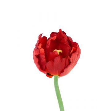 Tulipán loro artificial LAARA, rojo-naranja, 25cm, Ø7cm