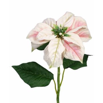 Poinsettia artificial MARRIT, blanco-rosa, 70cm, Ø20cm