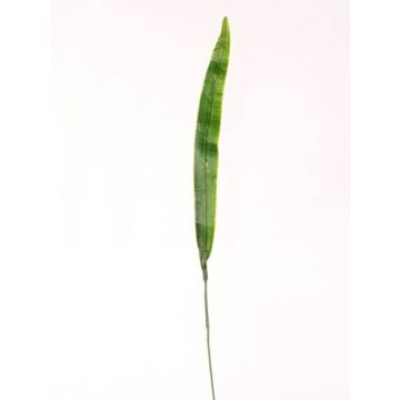 Hoja de gladiolo artificial JUNO, verde, 40cm