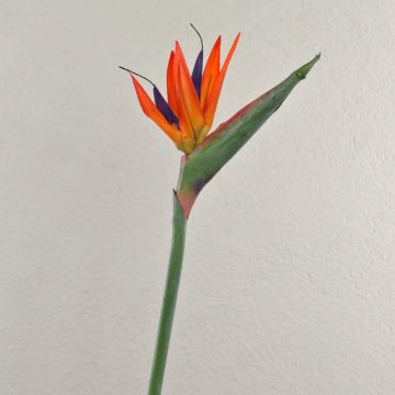 Strelitzia artificial MELIORN, naranja-violeta, 85 cm