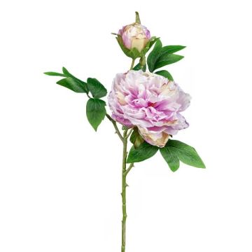 Flor artificial peonía FRILT, rosa, 55 cm