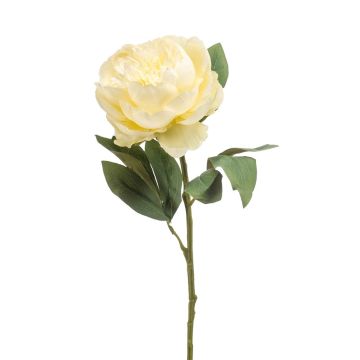 Flor artificial Peonía IFEOMA, crema, 65 cm
