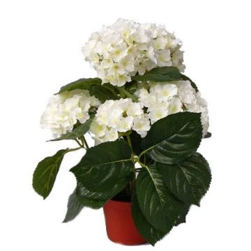 Hortensia sintética TEMARI, crema, 40cm, Ø10-12cm