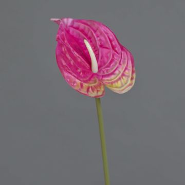 Flor artificial Anthurium XYLON, rosa, 50 cm, 9 x 12 cm