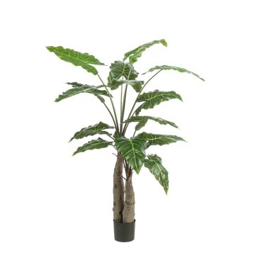 Planta artificial Alocasia Sanderiana ALBULA, verde, 150 cm Planta artificial Alocasia Sanderiana ALBULA, verde, 150 cm