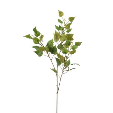 Rama decorativa de abedul NERIS con flores, verde, 95 cm
