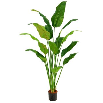 Planta de plátano artificial ARTAX, 180cm