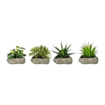 Arreglo floral artificial de suculentas TASTIKE en maceta de poliresina, 4 unidades, verde, 12-15 cm Arreglo floral artificial de suculentas TASTIKE en maceta de poliresina, 4 unidades, verde, 12-15 cm