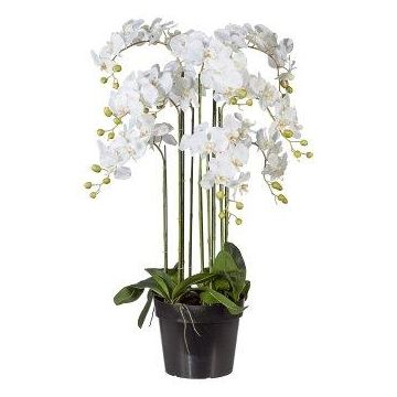 Orquídea Phalaenopsis artificial LOPASY, raíces, blanca, 110 cm