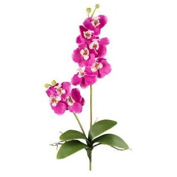 Orquídea Phalaenopsis de tela MORLEK, varilla, raíces, rosa, 60 cm