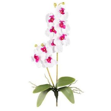Orquídea Phalaenopsis MORLEK de tela, varilla, raíces, blanco-lila, 60 cm