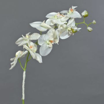 Orquídea Phalaenopsis artificial NALANI, nevado blanco, 80cm, Ø8-10cm