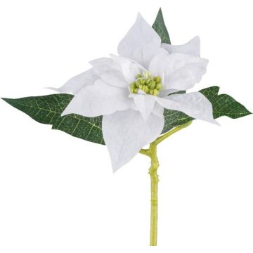 Flor de plástico Estrella de Navidad KASNERK, blanca, 40 cm