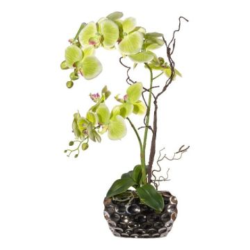 Arreglo floral artificial de orquídea y sauce retorcido TICHIO, jarrón decorativo, raíces, verde, 55 cm