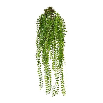 Colgante artificial Columnea GRAHIN, cepellón, verde, 70 cm