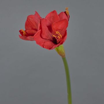 Flor decorativa de amarilis BELAV, roja, 70 cm