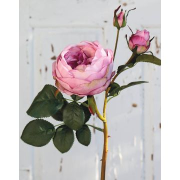 Rosa repollo artificial MIRETTA, rosa, 60cm, Ø3-9cm