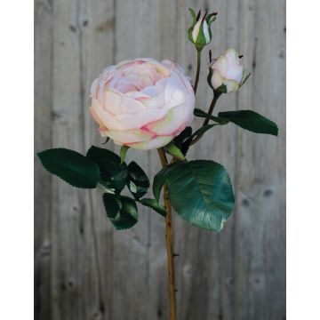 Rosa repollo artificial MIRETTA, rosa-verde, 60cm, Ø3-9cm