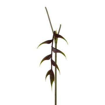 Flor artificial Heliconia MENJU, rojo burdeos, 55 cm Flor artificial Heliconia MENJU, rojo burdeos, 55 cm
