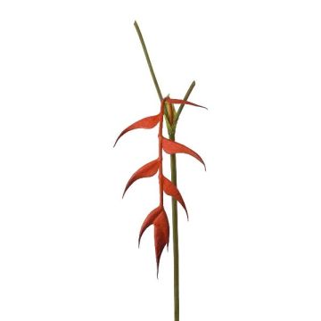 Flor artificial Heliconia MENJU, naranja, 55 cm Flor artificial Heliconia MENJU, naranja, 55 cm