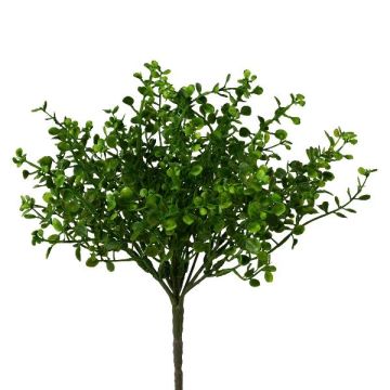 Planta decorativa Mühlenbeckia ZORHAN, varilla, verde, 28 cm