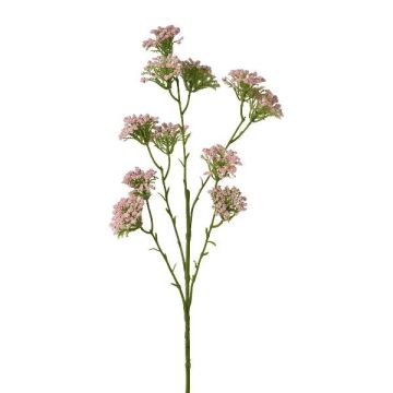 Rama decorativa de milenrama GRUNTO, rosa, 65 cm