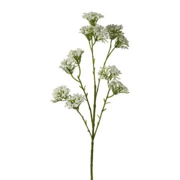 Rama decorativa de milenrama GRUNTO, blanca, 65 cm