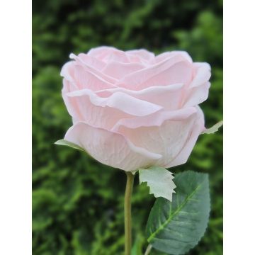 Rosa artificial MARNUK, rosa claro, 60 cm