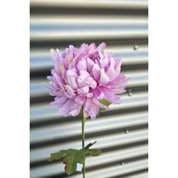 Crisantemo artificial FYRFOR, rosa claro, 70 cm