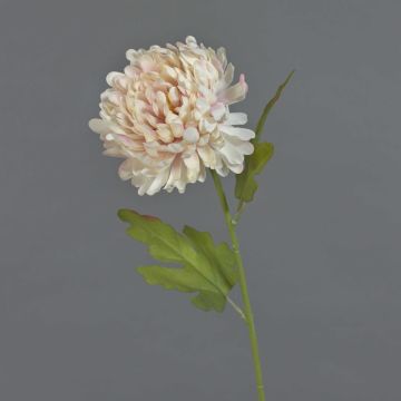 Crisantemo artificial FYRFOR, rosa crema, 70 cm