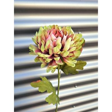Crisantemo artificial FYRFOR, verde rosa, 70 cm