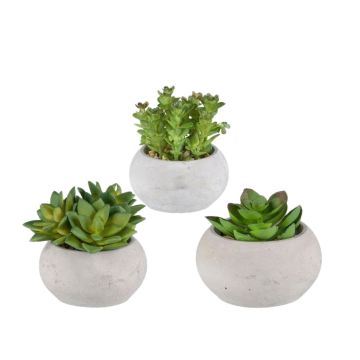 Arreglo floral artificial de suculentas ZIFER en maceta de cemento, 3 unidades, verde, 8-10 cm Arreglo floral artificial de suculentas ZIFER en maceta de cemento, 3 unidades, verde, 8-10 cm