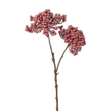 Rama decorativa de saúco ZORNKE, bayas, rosa oscuro, 50 cm Rama decorativa de saúco ZORNKE, bayas, rosa oscuro, 50 cm