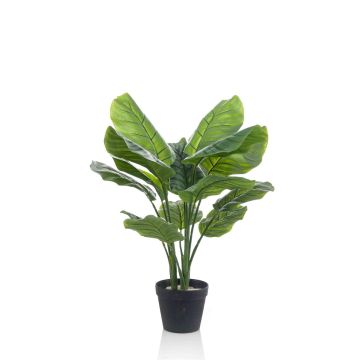 Planta artificial Calathea Orbifolia CAPHOR, verde grisáceo, 70 cm