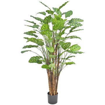 Planta artificial Calathea makoyana HYZANS, verde, 150 cm
