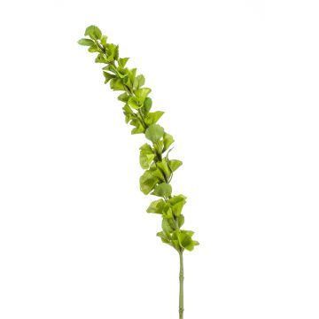 Flor artificial grande Campana de Irlanda SOTO, verde, 105 cm