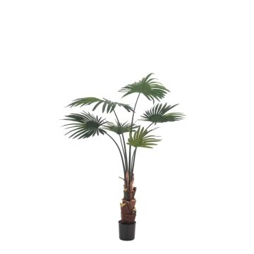 Palmera artificial de hojas redondas SIRRAH, verde, 110 cm Palmera artificial de hojas redondas SIRRAH, verde, 110 cm