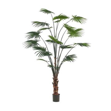 Palmera artificial de hojas redondas SIRRAH, verde, 240 cm Palmera artificial de hojas redondas SIRRAH, verde, 240 cm