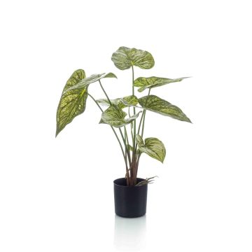 Planta artificial Caladium YAWAR con raíces, verde-amarillo, 60 cm