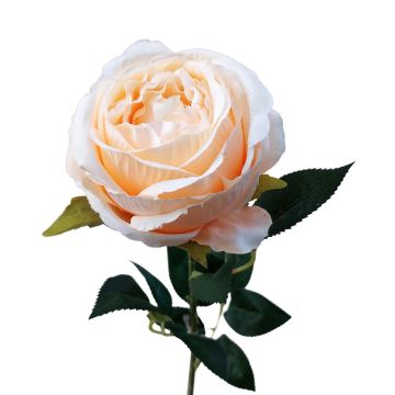 Flor artificial rosa CHERLEN, albaricoque, 60 cm, Ø 10 cm