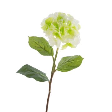 Hortensia de plástico CHANTAL, verde, 75cm, Ø18cm