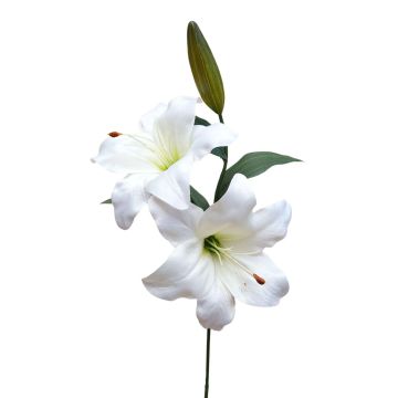 Rama de flores artificiales lirio RODEHILDE, crema-blanco, 65 cm