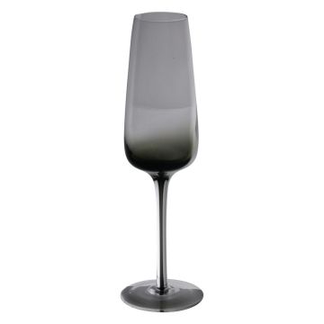 Vaso de champán LUCIEL, gris transparente, 23cm, Ø7cm
