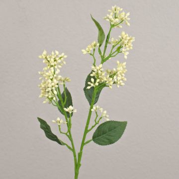 Rama de viburnum artificial LABIBA con capullos, crema, 60 cm