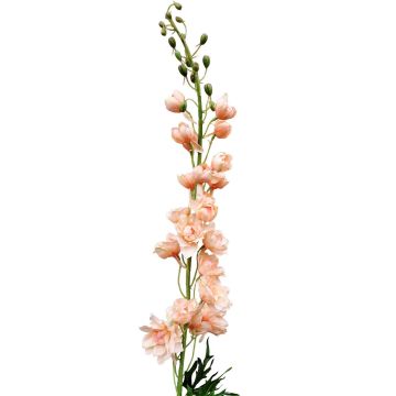 Flor artificial espuela de caballero RADUNIA, albaricoque, 100 cm
